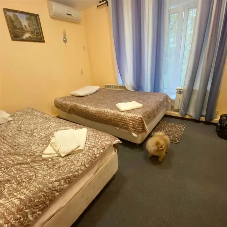 Room image